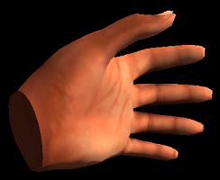 African Hands