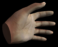 African Hands Realistic