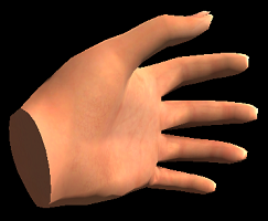 Hand